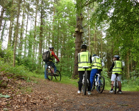 Paddle and Pedal bike tour in Belleek forest, ballina